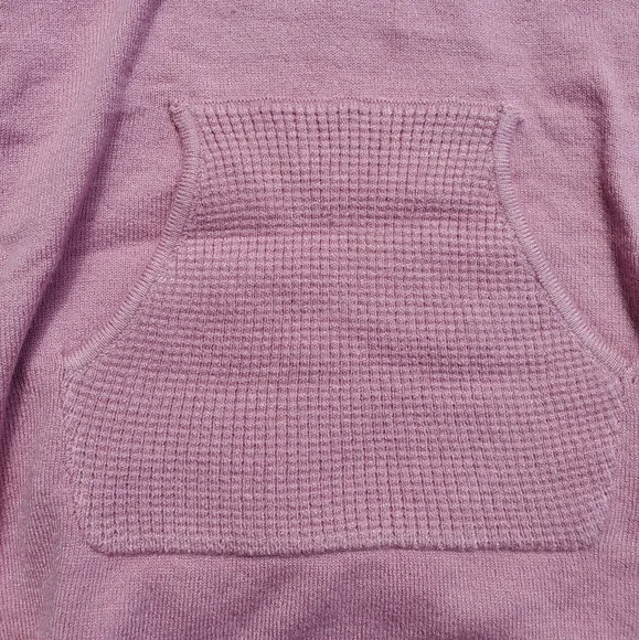 Pink Hoodie 3T NWT - Picture 3 of 4